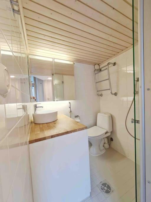 Stylish Studio In Downtown Helsingfors Eksteriør bilde